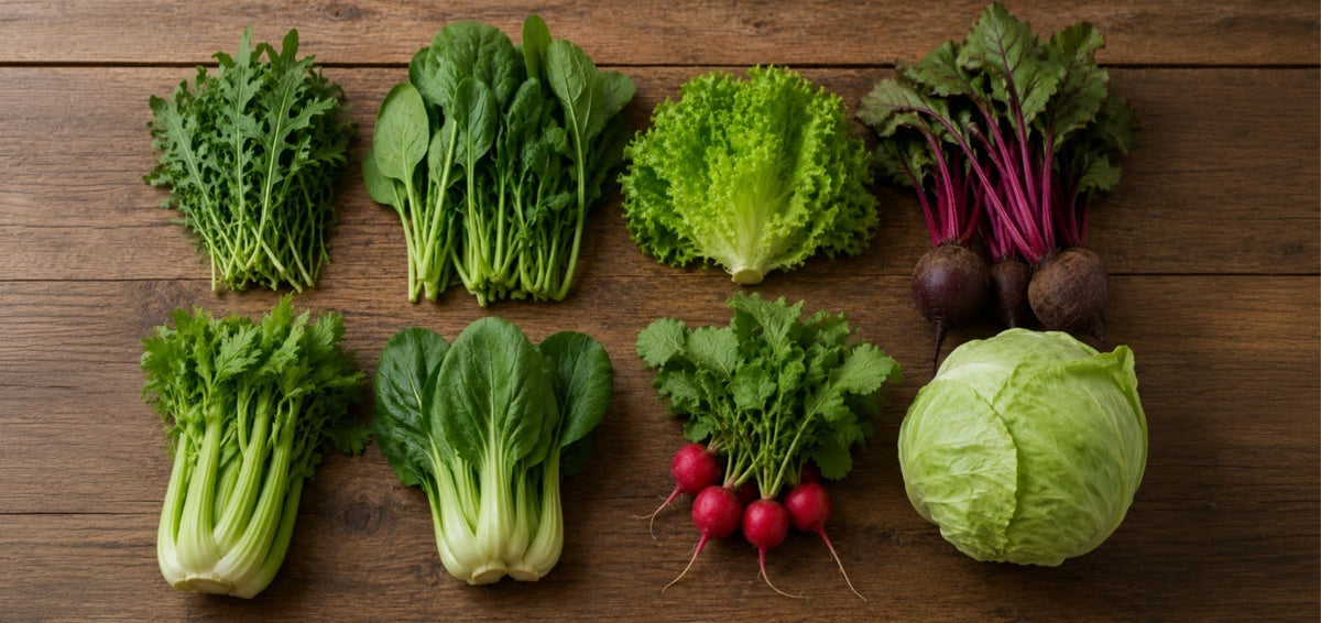 Nitrate Content of Foods: The Complete Chart (mg per 100g) of Vegetables That Boost Nitric Oxide