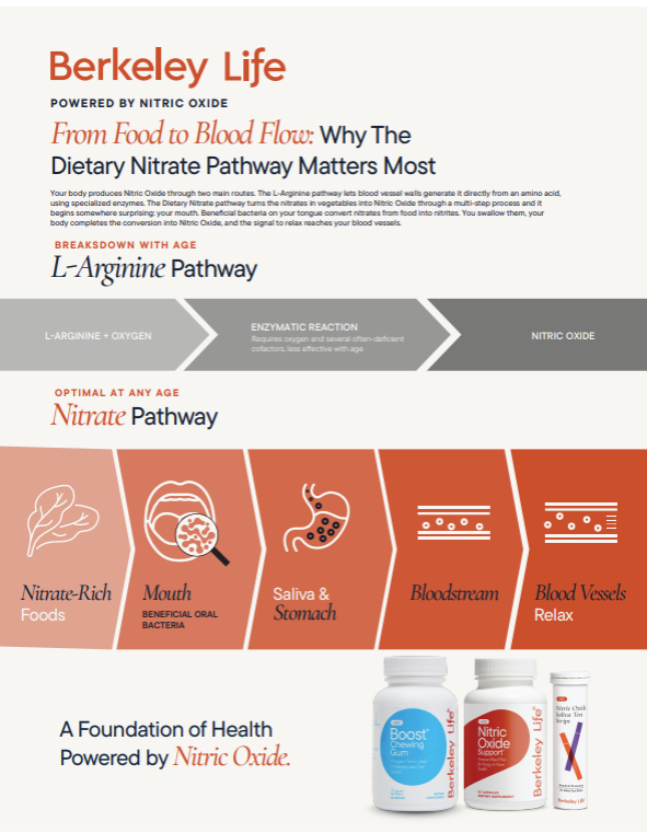 Nitrate Pathway Sheet