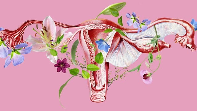 Women's Hormone Balance is Dependent on Nitric Oxide