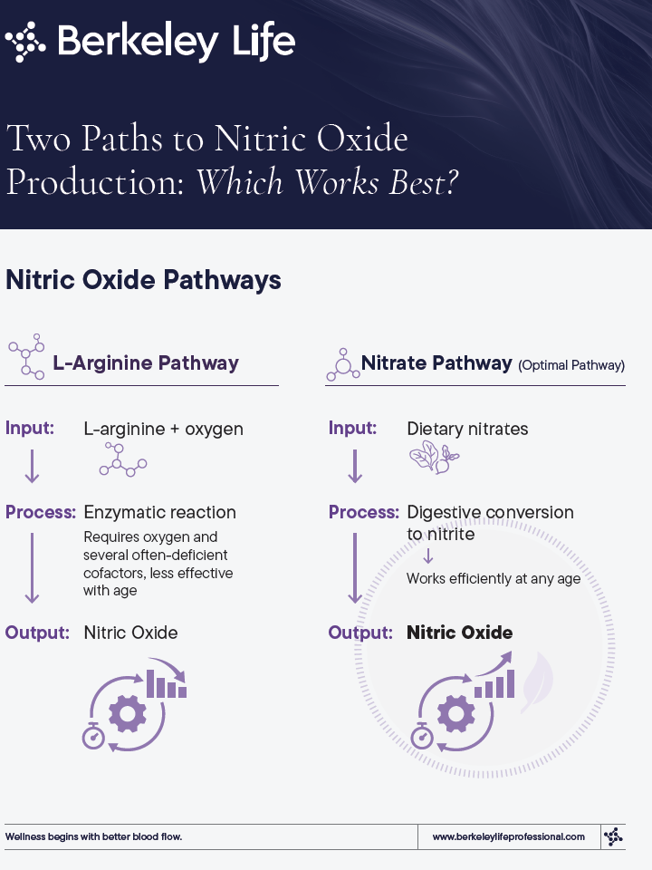Nitrate Pathway Flyer