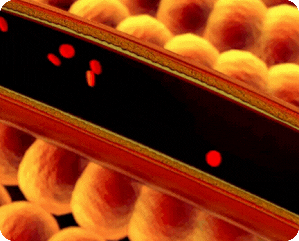 Boost Blood Flow Where It Matters