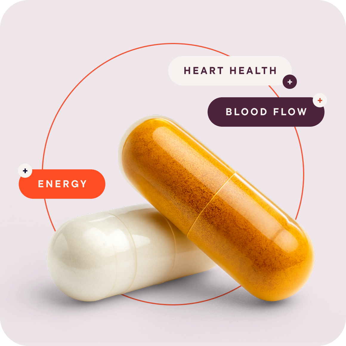 Menopause and Heart Health Support