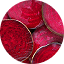Beet Root extract & Nitrate Blend