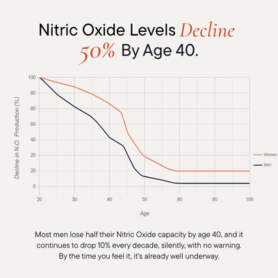 Nitric Oxide Support