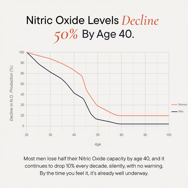 Nitric Oxide Support