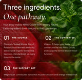 Nitric Oxide Support