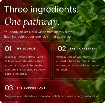 Nitric Oxide Support